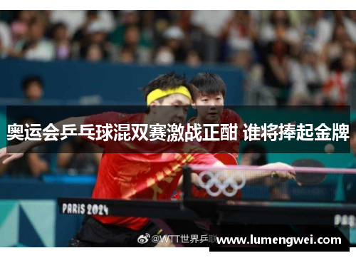 奥运会乒乓球混双赛激战正酣 谁将捧起金牌